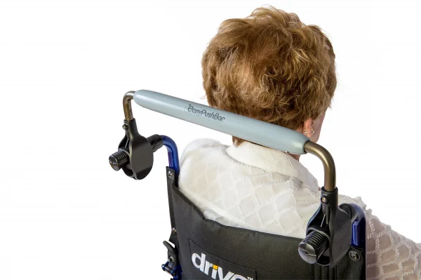 Greenmont's EasyPushbar (TM) - Security Model - Image 3